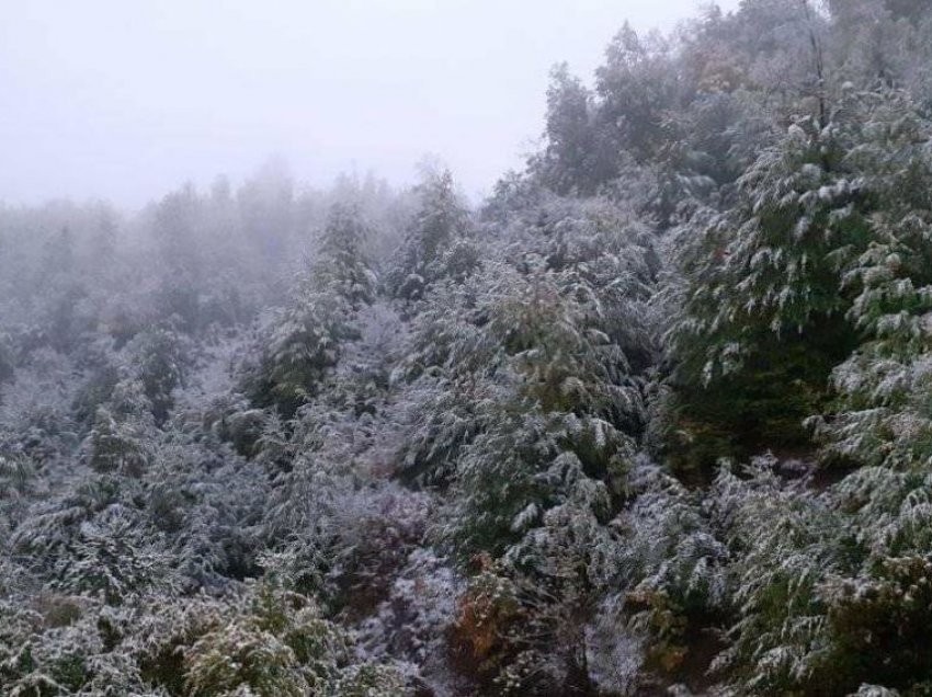 Korça mbulohet me borë