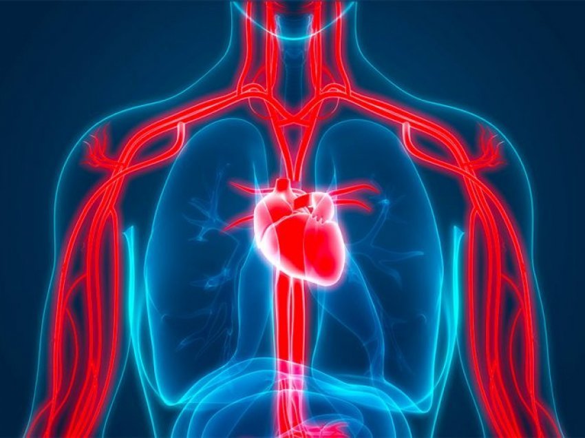 Zbuloni si ndikon diabeti tek tensioni i lartë i gjakut, çfarë duhet të bëni