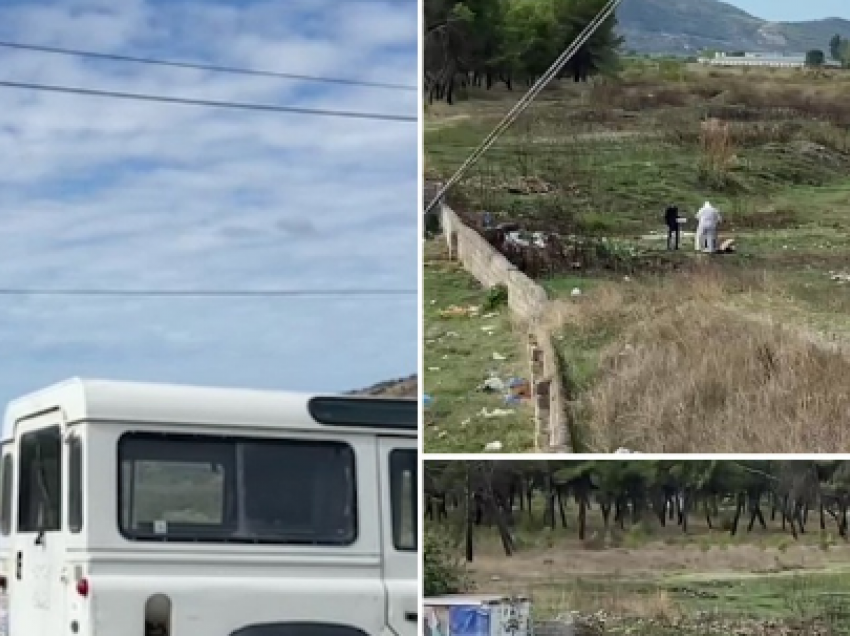 U rrëmbye në Lushnje, si u ekzekutua me 4 plumba në Peqin Alban Semaku