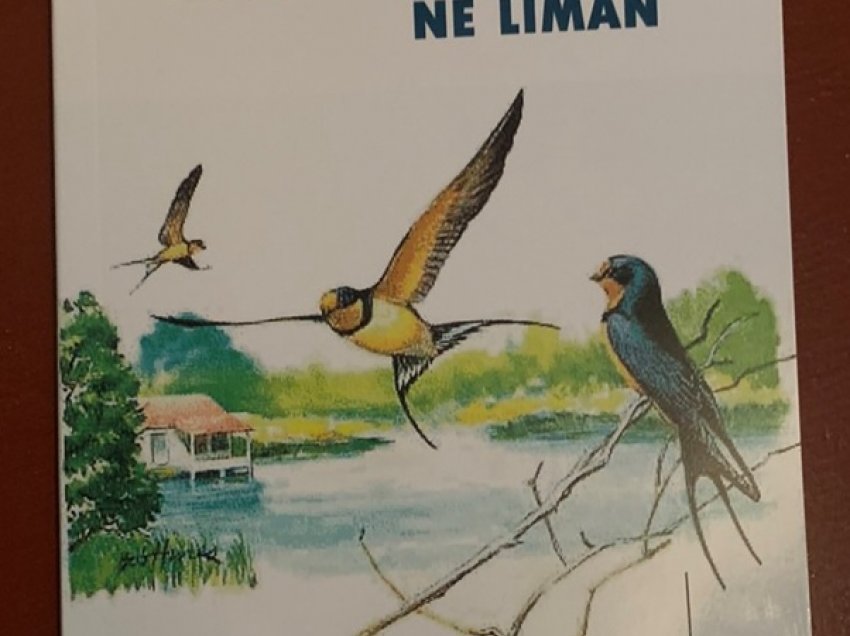 Zogu sjell lajmin në liman