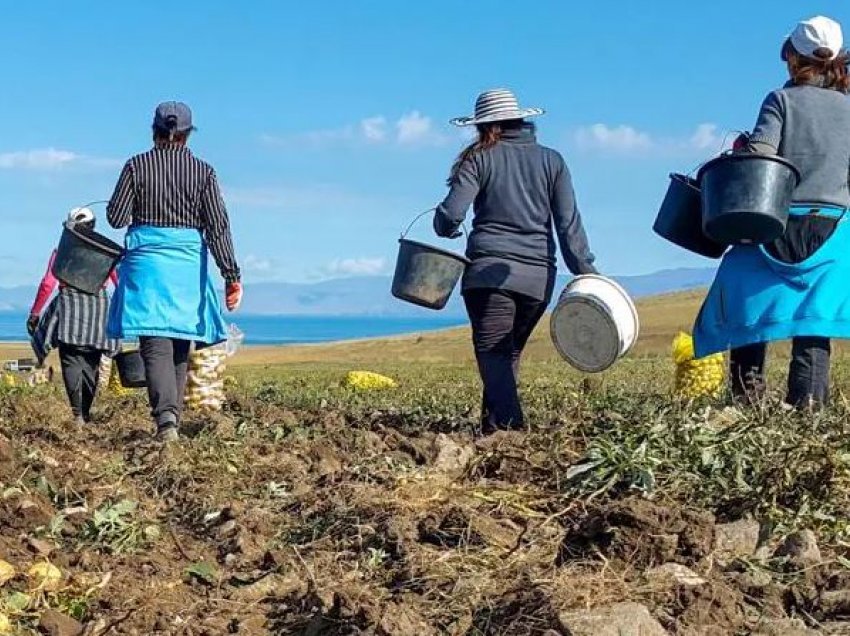 Italia ka nevojë për punëtorë sezonalë