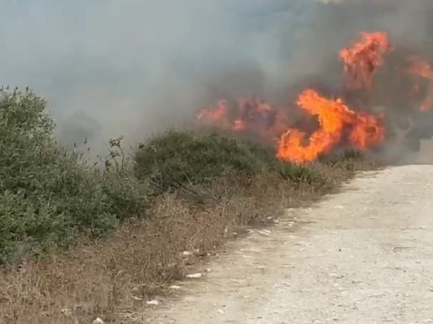 Zjarri i madh kërcënon banesat dhe bimësinë