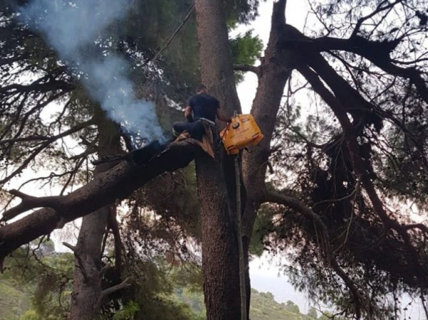 Rrufeja godet pishën në Sazan, flakët rrezikonin pyllin