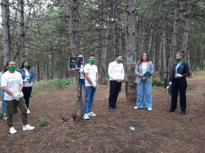 ​Drenori shpalos projektet për Drenasin