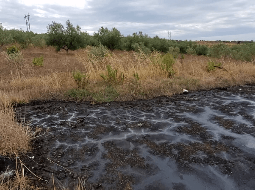 Puset që rrezikojnë jetë/ Gropat me hidrokarbure, rrezik për njerëzit, mjedisin dhe zjarret