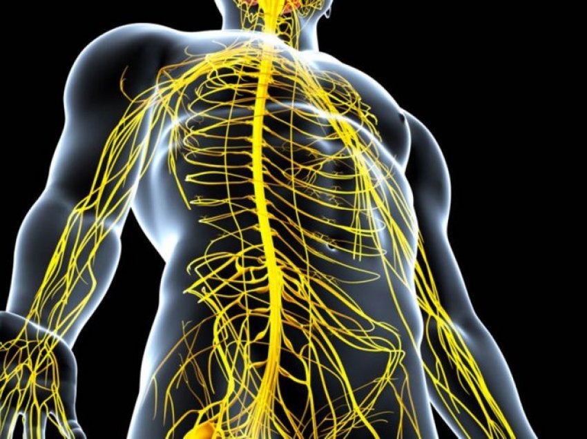 Dëmtimi i nervave/ Ja 8 shenjat që nuk duhen neglizhuar
