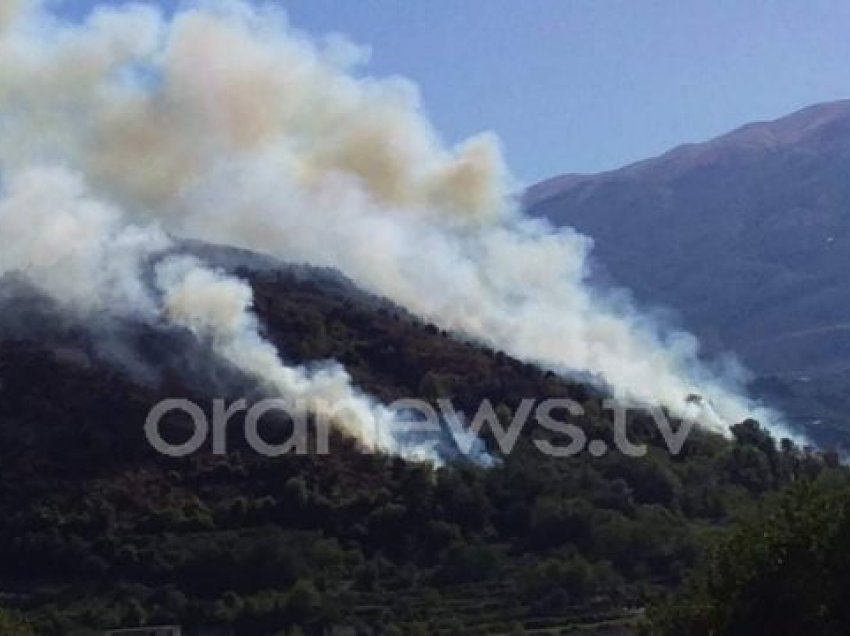 Tepelenë/ Zjarr në fshatin Memaliaj, rrezikohen banesat