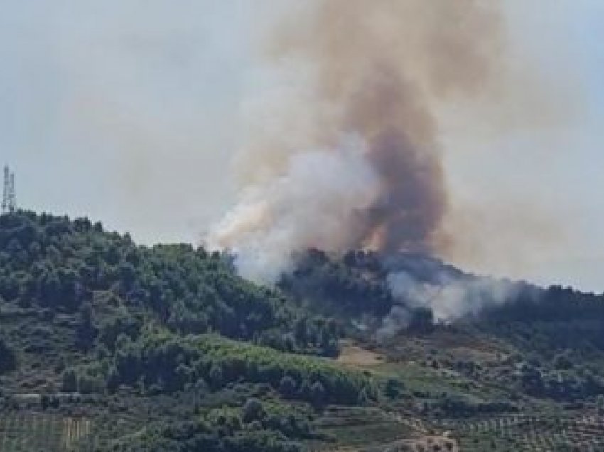 Tentoi të shuante zjarrin në tokën e tij, ndërron jetë nga asfiksimi 59-vjeçari në Kavajë