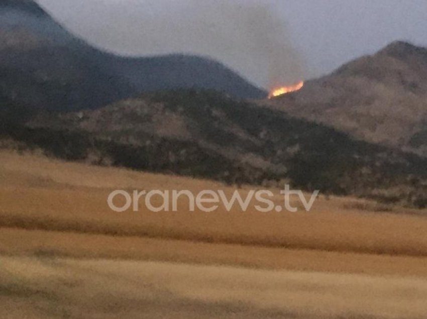 Zjarri shkrumbon lartësinë e fshtatit Bodrishtë gjatë natës, asnjë ndërhyrje nga zjarrfikësit