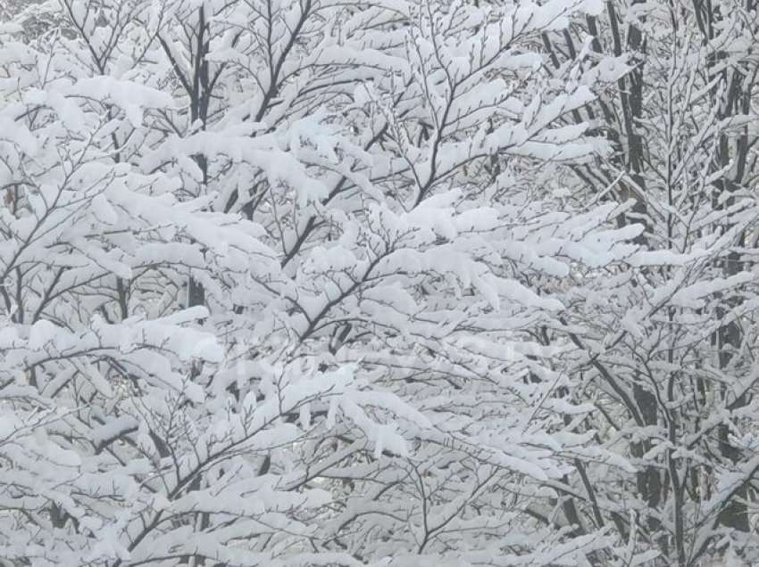 Borë në Prill/ Korça vesh petkun e bardhë në pranverë