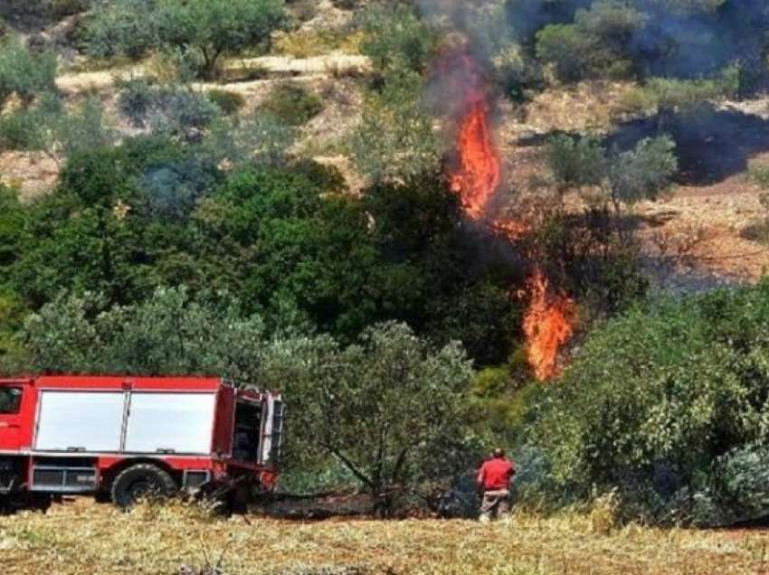 Zjarr i madh në Greqi, luftë për të shuar flakët