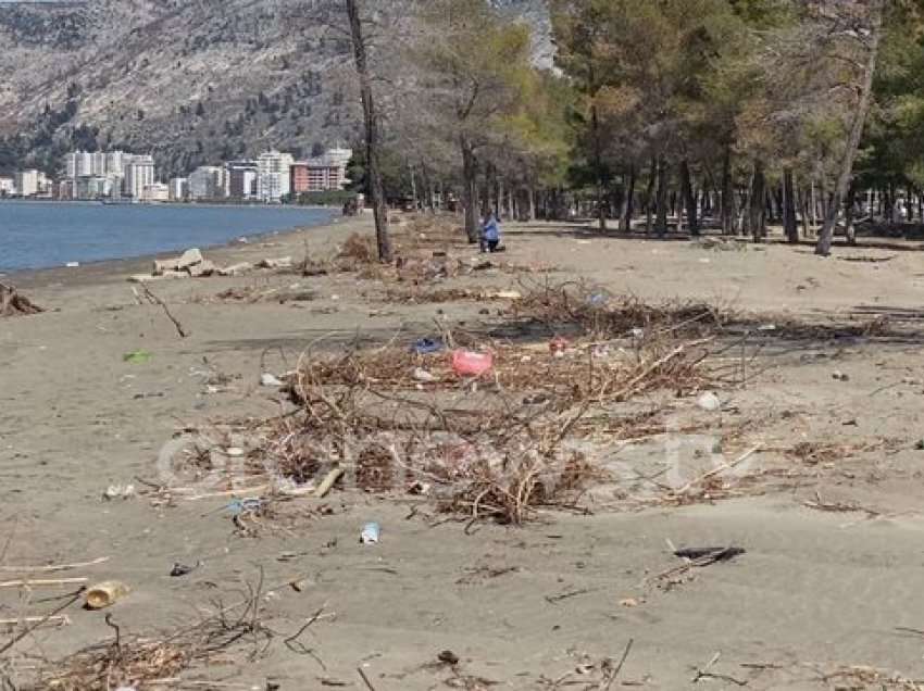 Katastrofë ekologjike nga ndotja, kafshët e ngrordhura e plastika mbulojnë Kunen në Shëngjin