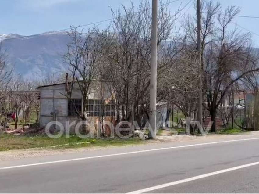 Aksion kundër tregjeve informale, policia bashkiake pastron aksin nacional Korçë-Pogradec