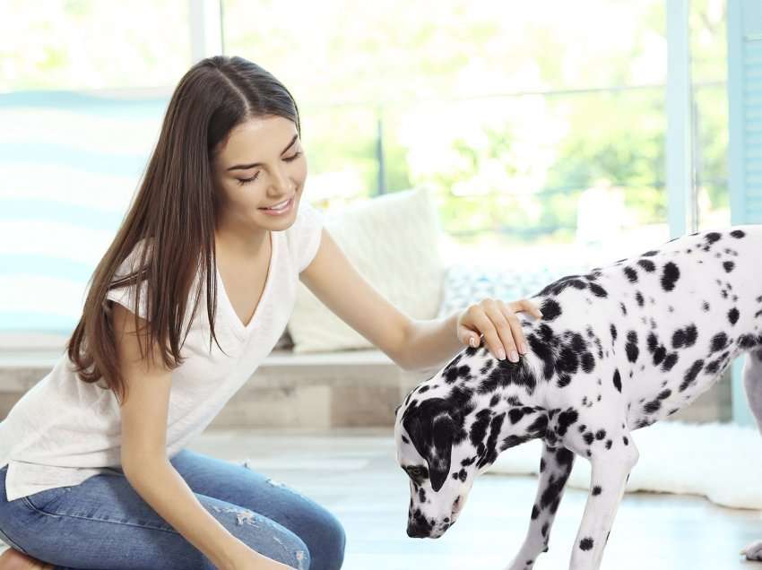 Mënyra se si i ushqejmë kafshët shtëpiake, mund të ndikojë në shëndetin tonë