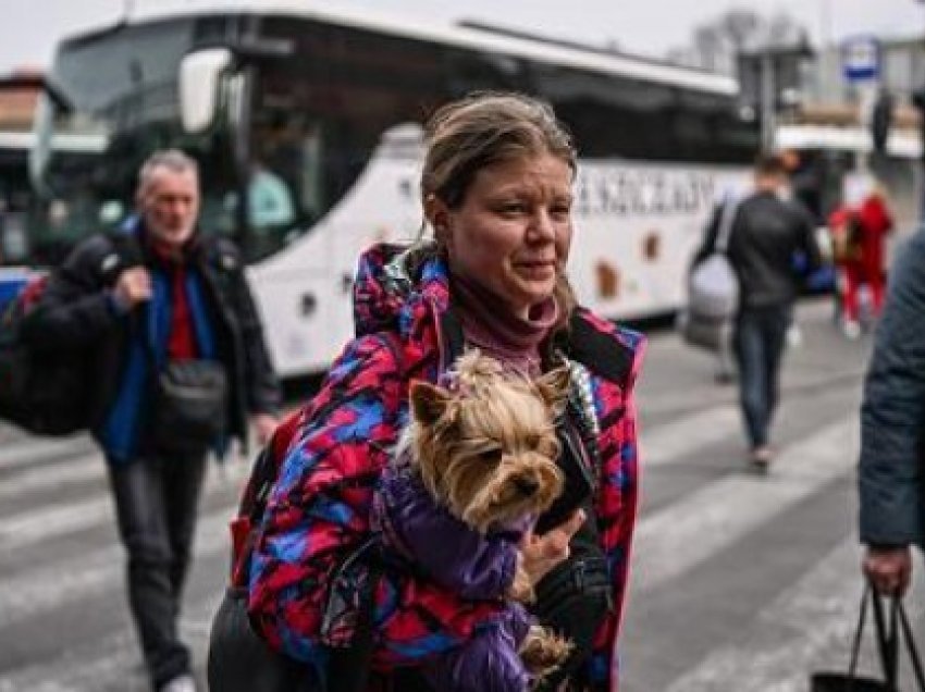 ​UNHCR: Më shumë se 5 milionë njerëz u larguan nga Ukraina për shkak të luftës