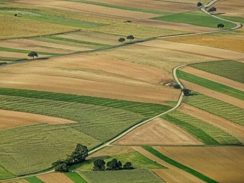 Thirrje për të gjithë: Ta shfrytëzojmë sa më racionalisht tokën