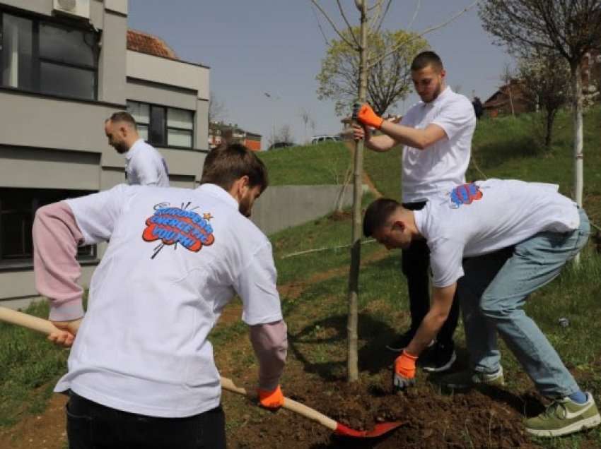 ​KEDS mbolli drunj, simbolikë për 20 studentë të gjeneratës së 9-të të KEDS Academy