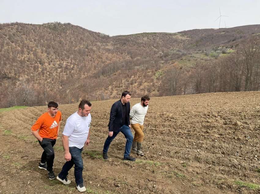 Peci në Bajgorë, viziton bujkun që kultivon dy hektarë patate