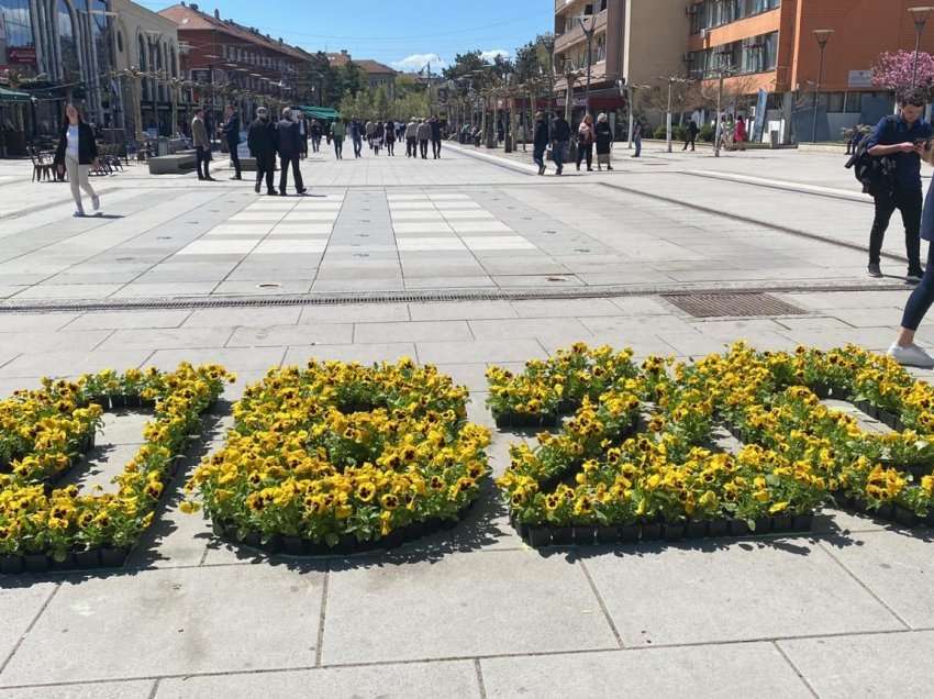 Nisma e të Rinjve kërkojnë nga Qeveria më shumë punë në zbardhjen e fatit të të pagjeturve