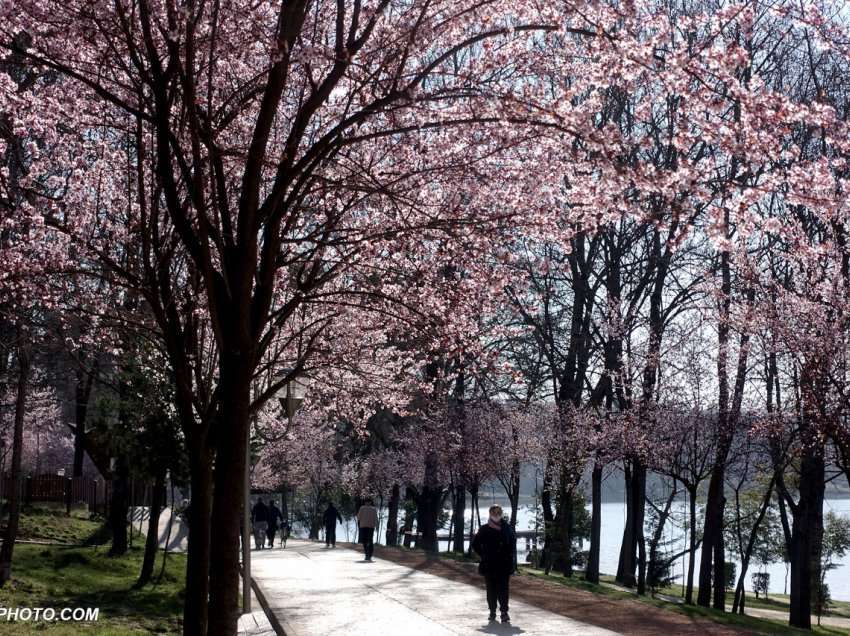 Temperaturat deri në 28 gradë! Si parashikohet moti për ditën e sotme