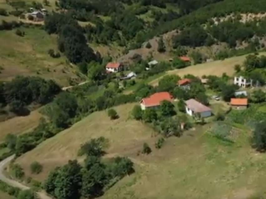 E pazakontë, marecasit tubohen për t’u njoftuar mes vete 