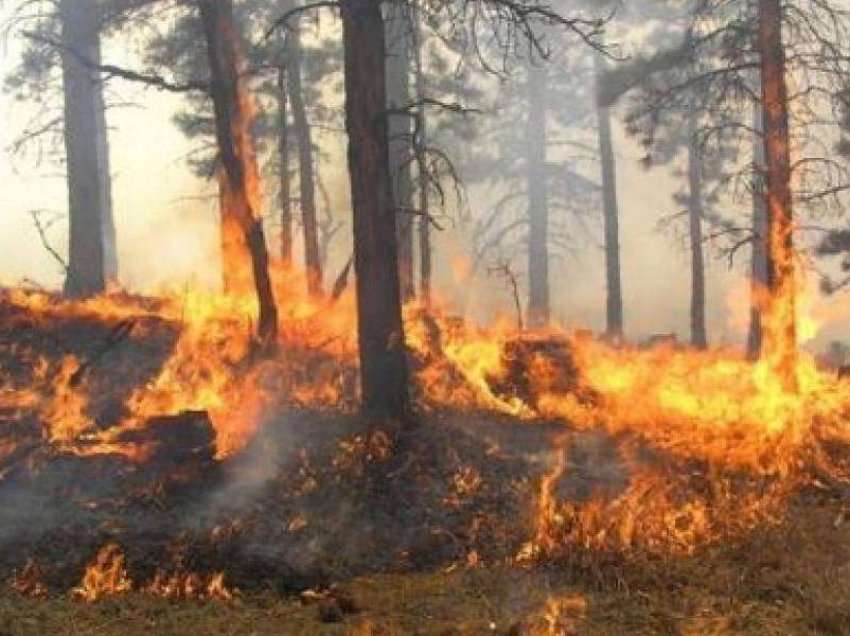 20 vatra zjarri në 24 orët e fundit në Shqipëri