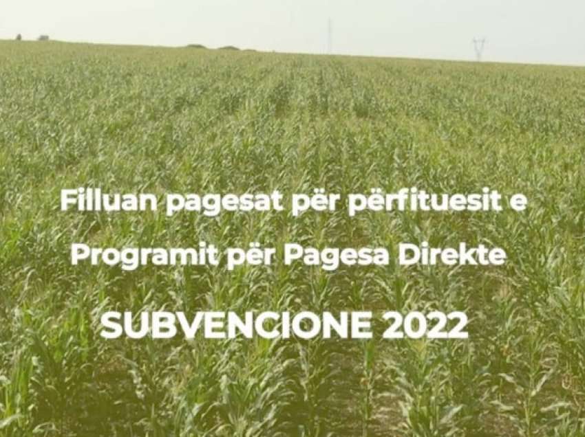 ​Fillojnë pagesat e përfituesve të subvencioneve në bujqësi