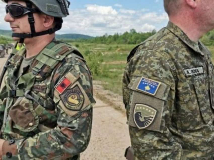 Kosova dhe Shqipëria të krijojnë një shërbim të përbashkët inteligjent, si NSA-ja/ Duhet të bllokohet influenca ruse