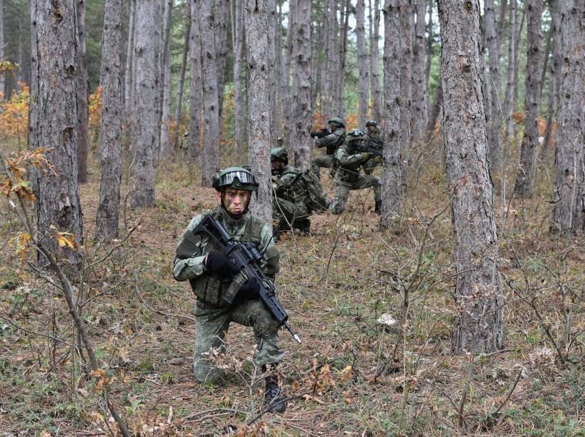 Kërcënimet e Serbisë me dërgim të ushtrisë, ja informacionet që mori nga NATO-ja