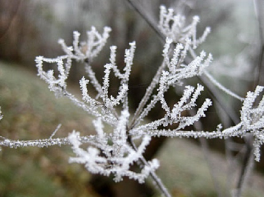 Moti, ja temperaturat për ditën e mërkurë