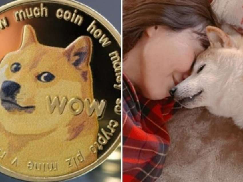 Qeni Shiba inu që frymëzoi kriptovalutën Dogecoin, raportohet se ka leukemi