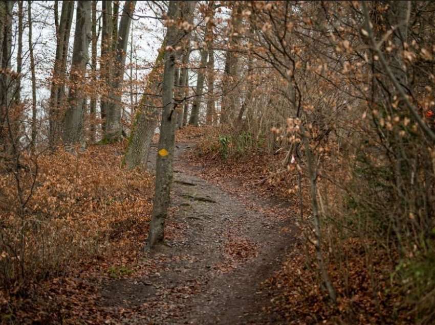 Vdekja e tetë vjeçares, 30-vjeçarja nga Berna merret në paraburgim