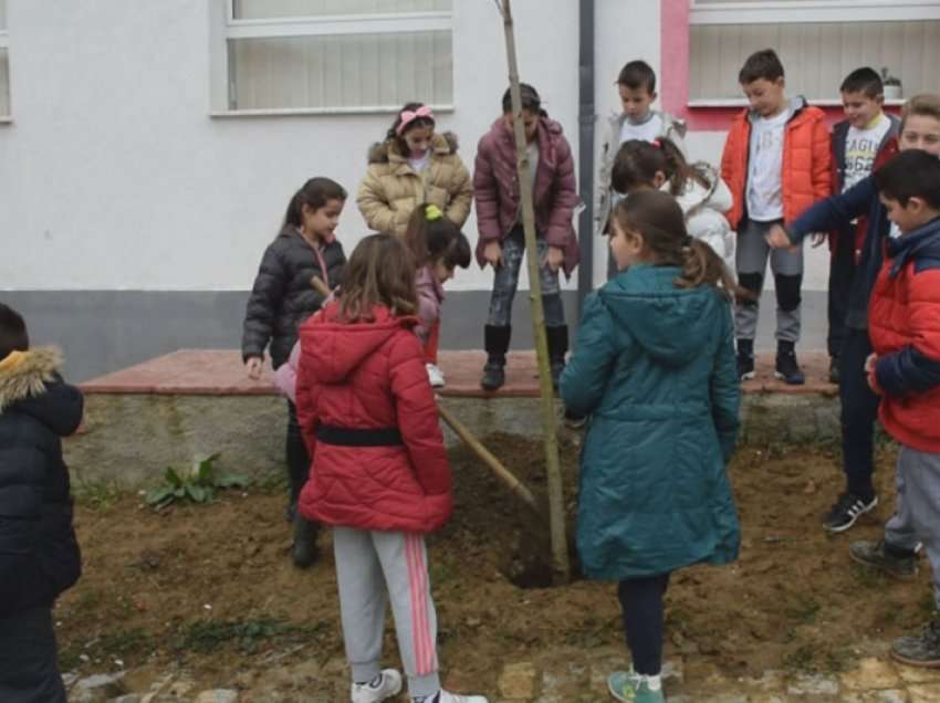 Lexojnë, por nuk kuptojnë! Janë shtuar analfabetët për shkak të pandemisë