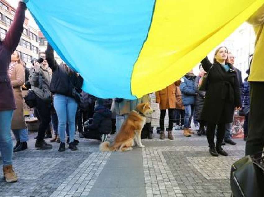 Ukraina kërkon zyrtarisht anëtarësimin në BE 