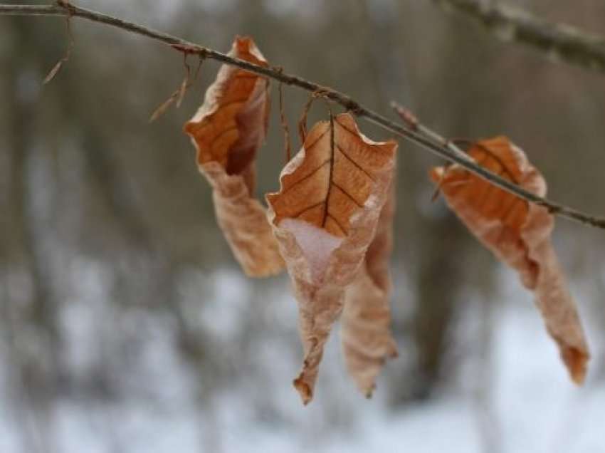 Sot diell dhe vranësira, nesër reshje shiu dhe bore