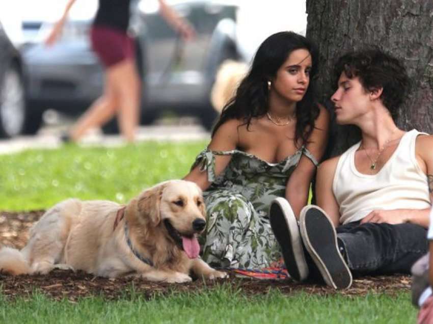 Pas ndarjes, Shawn Mendes dhe Camila Cabello fotografohen bashkë