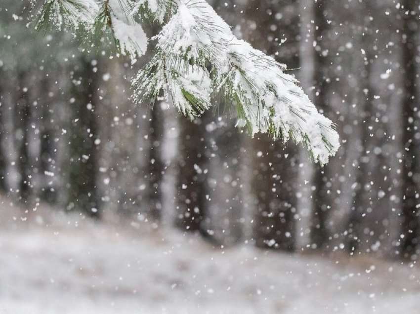 Sot dhe nesër reshje shiu e bore