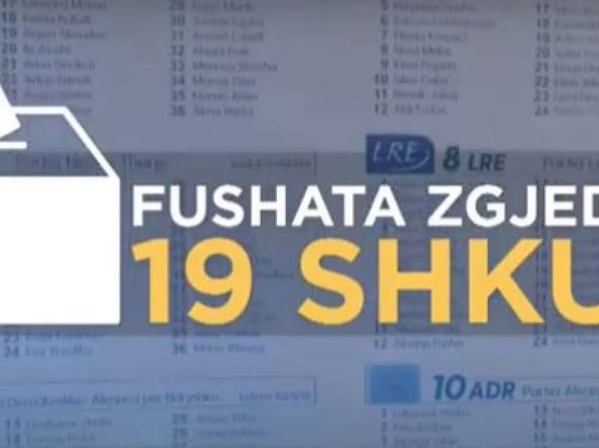 Më 19 shkurt nis fushata për zgjedhjet e pjesshme në Shqipëri