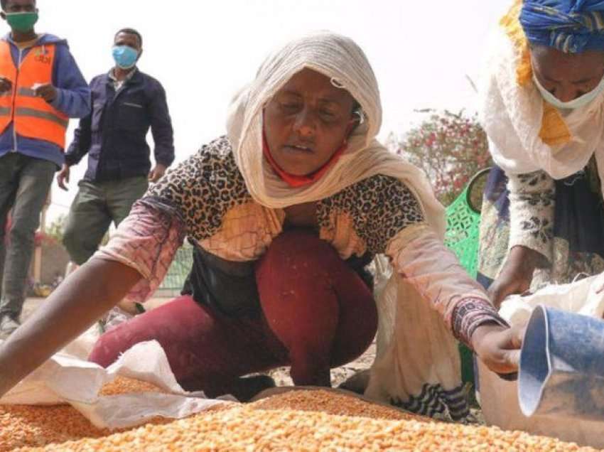 Mjekët mes atyre që lypin ushqim në rajonin Tigray në Etiopi