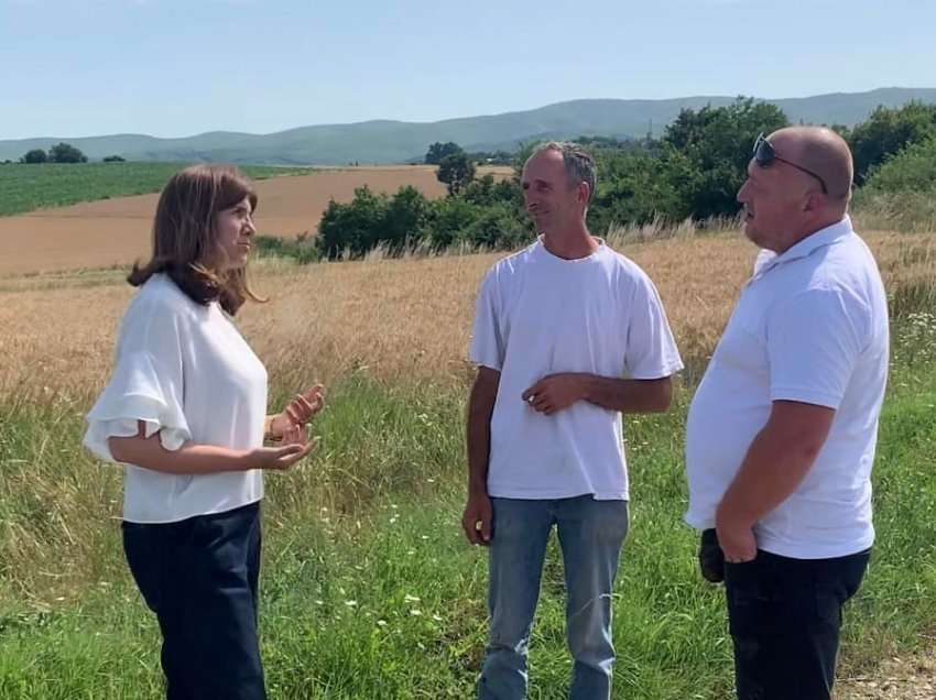 Ganimete Musliu del në terren në Vushtrri, i vlerëson të mbjellurat në ara