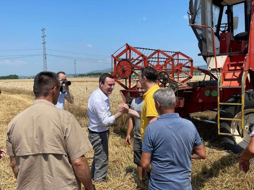 “Bukë, krypë e zemër të bardhë”/ Ministri Peci paralajmëron rendimente të larta të grurit 