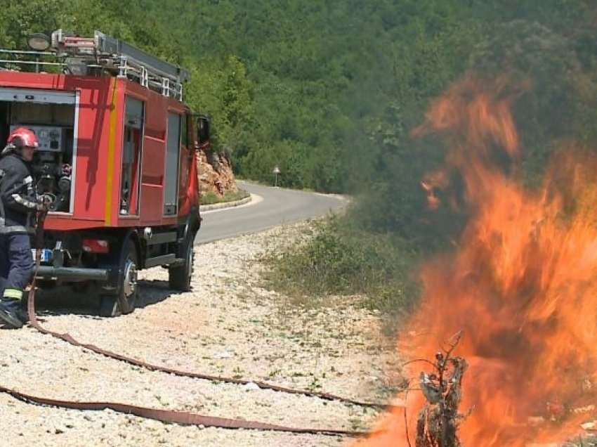 Fshati në Vlorë përfshihet nga flakët, rrezikohen ullinjtë dhe pemët frutore