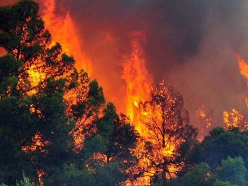 “Situata e përhapjes së zjarreve është alarmante”- Meta: Të merren masat e nevojshme!