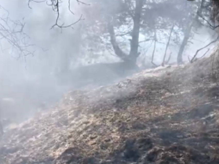 Zjarr në kodër, digjen dhjetëra ullinj dhe pisha! Rrezikohen antenat celulare, flakët pranë varrezave në Fier