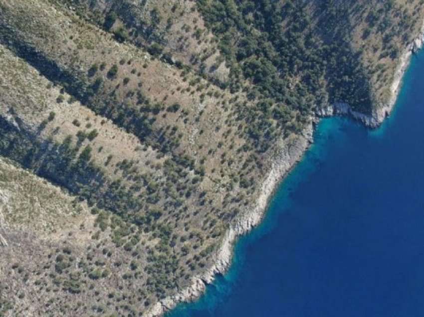 ​Po bënte hiking me qenin, gjendet në Karaburun turisti gjerman