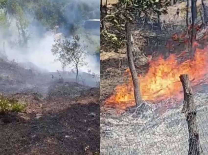 Dy vatra zjarri në Durrës, digjet një sipërfaqe me bimë e shkurre në Kepin e Rodonit, shkrumbohen pemë frutore e vreshta në Shetaj