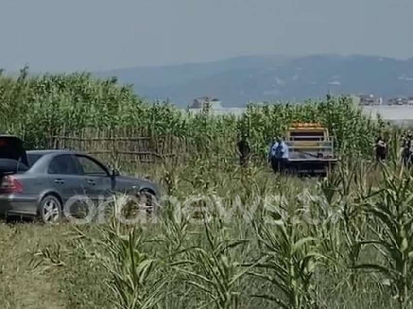 Makina me kanabis ngec në kanal, transportuesi fundos dhe ndihmësin, momenti i arrestimit nga policia