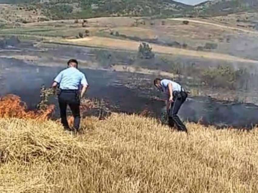 Shpërthen zjarri afër shtëpive të banimit në Vushtrri, Policia kap personi e dyshuar