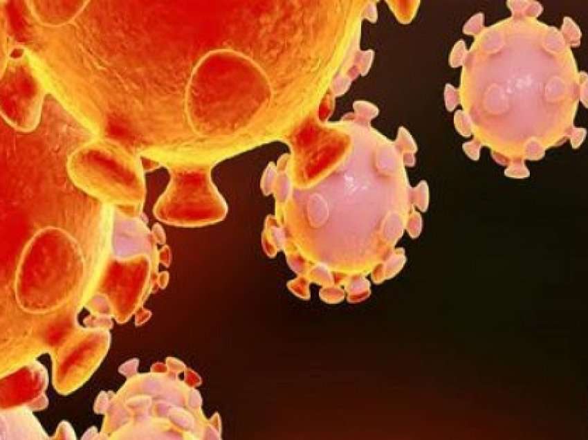 1336 të infektuar me koronavirus në 24 orët e fundit në Shqipëri 