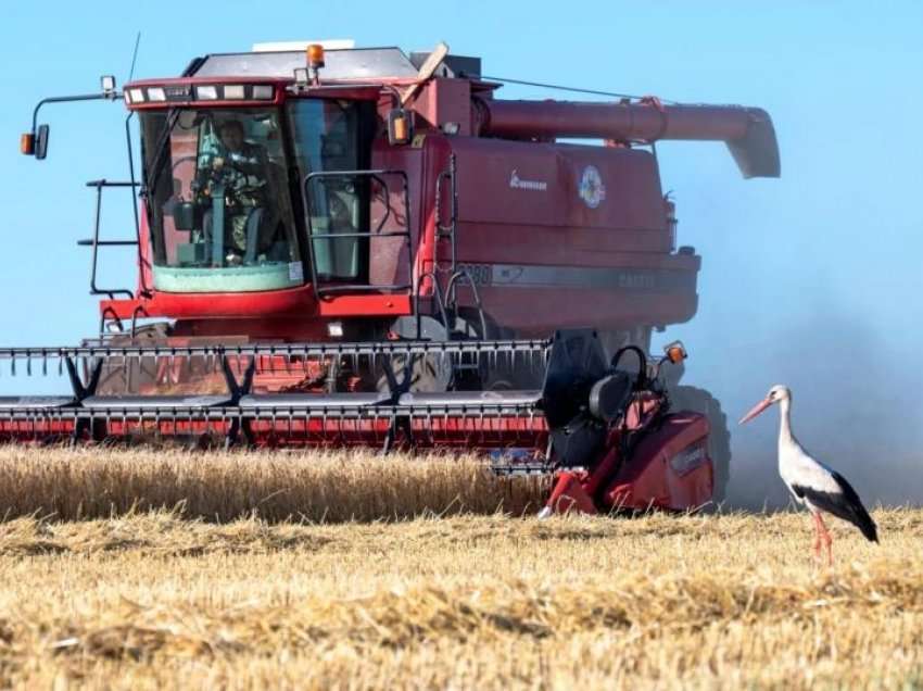 Zyrtarë rusë e ukrainas arrijnë në Turqi për të nënshkruar marrëveshjen për grurë